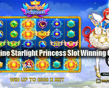 Easy Online Starlight Princess Slot Winning Chances