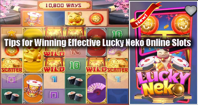 Tips for Winning Effective Lucky Neko Online Slots